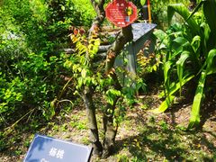 -厦门悦华酒店