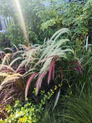 -今日陶艺(富力广场店)