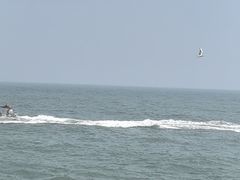 -日照世帆赛基地