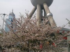 -陆家嘴空中步行连廊