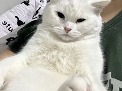 -博特宠物医院24h犬猫全科.骨科·异宠