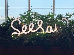 -Seesaw Coffee(朝阳大悦城店)