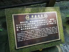 -峨眉山风景名胜区