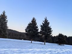 -北极村旅游风景区