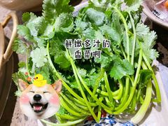 -小龙坎老火锅(红旗街店)