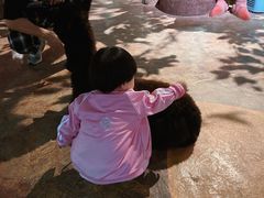 -zoonana室内动物园(东方福来德店)