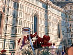 -圣母百花大教堂穹顶