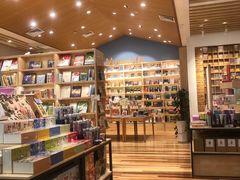 -猫的天空之城概念书店(印象城购物中心店)