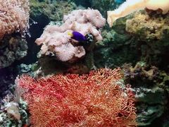 -杭州长乔极地海洋公园