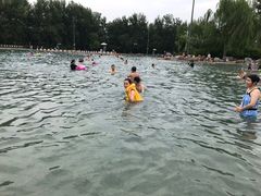 -柳浪游泳场