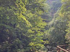 -九龙潭景区