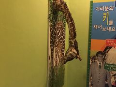 -信不信由你博物馆