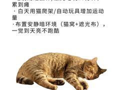 -宠福鑫动物医院·动物疾病诊疗中心(天通苑店)