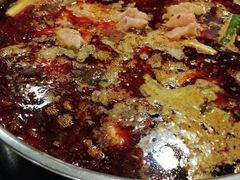 深水花鲢鱼-蜀滋香鲜鱼美蛙火锅(339店)