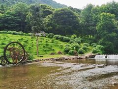 -广州市石门国家森林公园