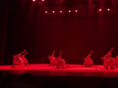-中国宋庆龄青少年科技文化交流中心