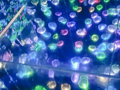 -武汉5D星空错觉艺术馆(中心百货店)