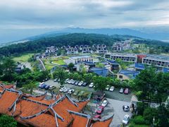 -铁山坪森林公园