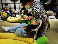 -逗柴咖啡屋·狗咖猫咖宠物桌游