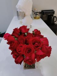 -VE专注问题肌·赛诺龙&科学美肤中心