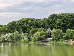 -八大山人梅湖景区