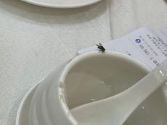 -聚福山莊·寻味顺德(北滘店)