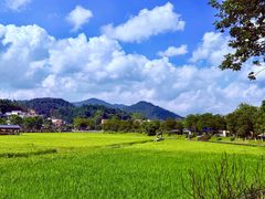 -红山村