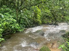 -莫里热带雨林景区