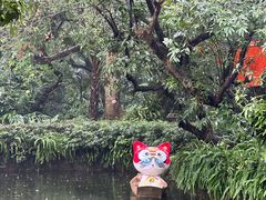 -广州兰圃