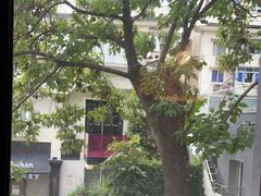 -邈墨茶馆(凤起路店)