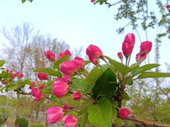 -元大都城垣遗址公园