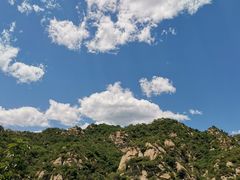 -大岭沟猕猴桃谷风景区