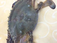 iphone_upload_pic-海岛渔村大酒店(云霄路店)