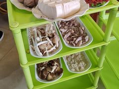 -15年老字号鑫鑫猪肚鸡·椰子鸡海南火锅(兴隆华侨农场店)