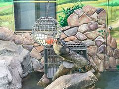 -上海野生动物园