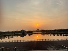 -盐城丹顶鹤湿地生态旅游区