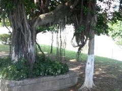 android_upload_pic-集美学村