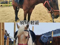 -阳澄湖半岛旅游度假区