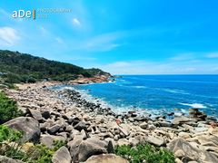 -广东惠东海龟国家级自然保护区