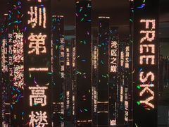 -平安金融中心云际观光层