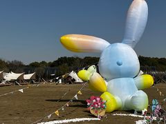 -不觉晓CAMPING(上海迪士尼营地店)