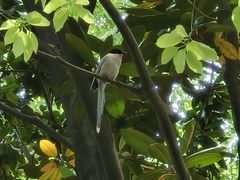 -苏州河梦清园环保主题公园