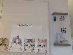 -关爱宠物医院·猫科中心·消化科(滨湖万达分院)