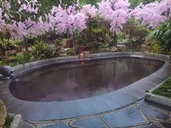 -剑河仰阿莎温泉小镇