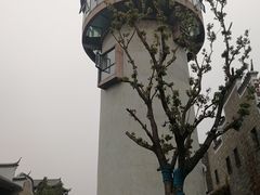 -莫愁村问君老酸奶