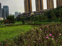 -沐仙湖湿地公园
