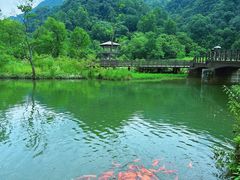 -五泄景区