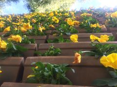 -云南民族大观园