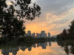 -洋湖国家湿地公园