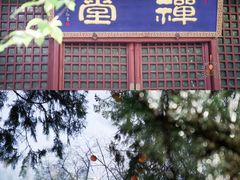 -潭柘寺景区